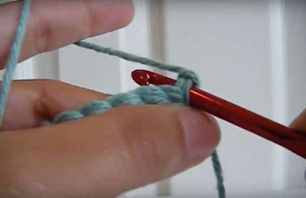 crochet hook pushed through the first loop stitch image