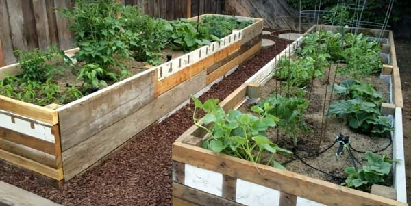 reclaimed pallet wood recycled into raised vegetable beds